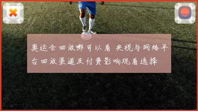 奥运会回放哪可以看 央视与网络平台回放渠道及付费影响观看选择